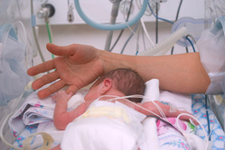 Первый год жизни недоношенного малыша что следует знать маме