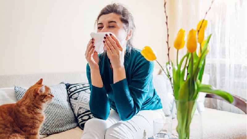 Аллергия на пыльцу или простуда 5 главных отличий