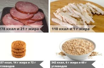 body food weight loss 1